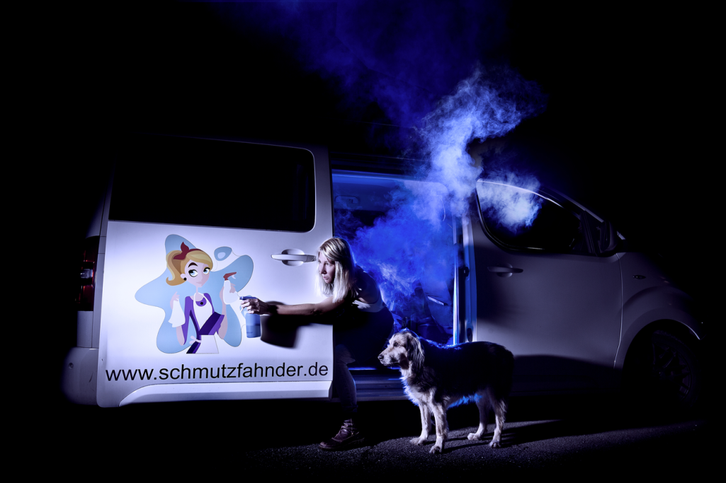Reinigungs-Service in Grainau Hund und Pickup